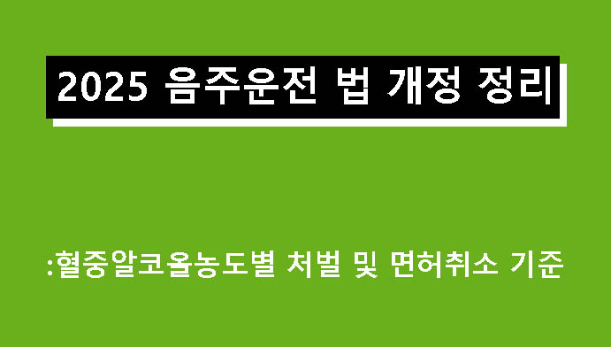 2025 음주운전 법 개정 정리: 혈중알코올농도별 처벌 및 면허취소 기준