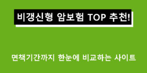 비갱신형 암보험 TOP 추천! 면책기간까지 한눈에 비교하는 사이트