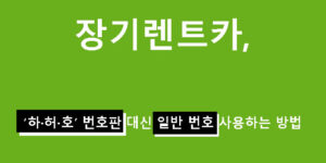 장기렌트카, ‘하·허·호’ 번호판 대신 일반 번호 사용하는 방법