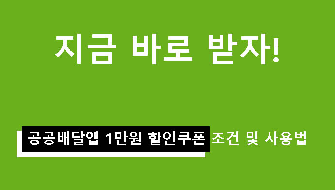 지금 바로 받자! 공공배달앱 1만원 할인쿠폰 조건 및 사용법