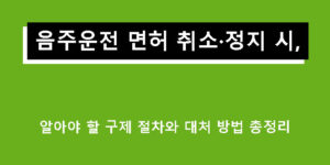 음주운전 면허 취소·정지 시 알아야 할 구제 절차와 대처 방법 총정리