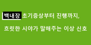 백내장 초기증상부터 진행까지, 흐릿한 시야가 말해주는 이상 신호
