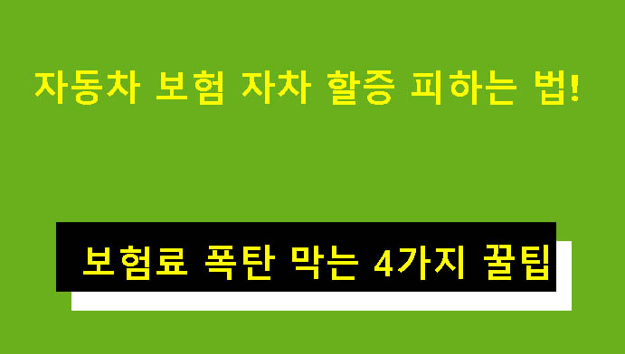 자동차 보험 자차 할증 피하는 법! 보험료 폭탄 막는 4가지 꿀팁