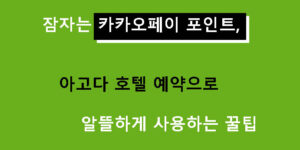 잠자는 카카오페이 포인트, 아고다 호텔 예약으로 알뜰하게 사용하는 꿀팁