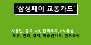 삼성페이 교통카드 사용법, 등록, ezl, 잔액부족, nfc유심, 오류, 변경, 결제, 미승인카드, 한도복원