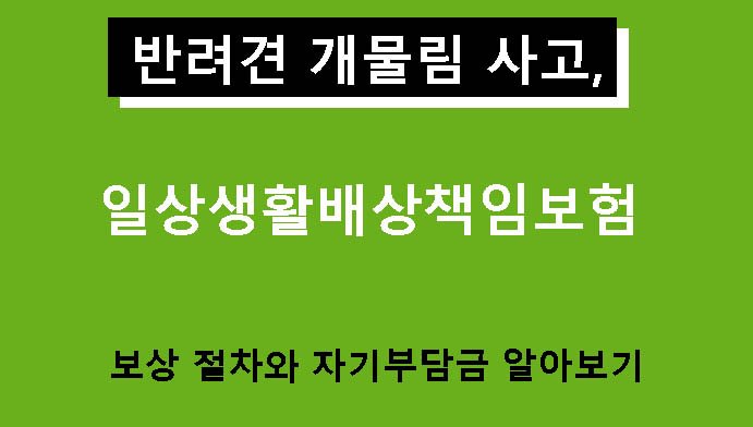 반려견 개물림 사고, 일상생활배상책임보험 보상 절차와 자기부담금 알아보기