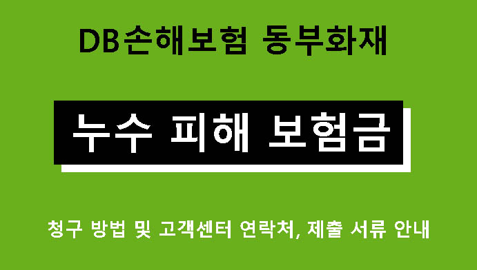 DB손해보험 동부화재 누수 피해 보험금 청구 방법 및 고객센터 연락처, 제출 서류 안내