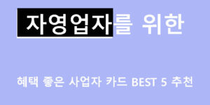 자영업자를 위한 혜택 좋은 사업자 카드 BEST 5 추천