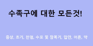 수족구 증상, 초기, 전염, 수포 및 잠복기, 입안, 어른, 약