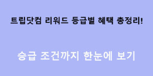 트립닷컴 리워드 등급별 혜택 총정리! 승급 조건까지 한눈에 보기