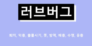 러브버그 퇴치, 익충, 출몰시기, 뜻, 방역, 해충, 수명, 유충