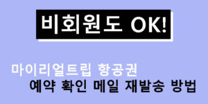 비회원도 OK! 마이리얼트립 항공권 예약 확인 메일 재발송 방법