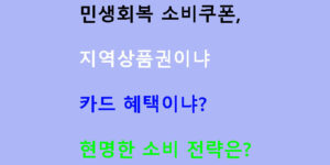 민생회복 소비쿠폰, 지역상품권이냐 카드 혜택이냐? 현명한 소비 전략은?