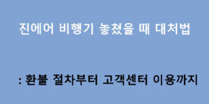 진에어 비행기 놓쳤을 때 대처법: 환불 절차부터 고객센터 이용까지