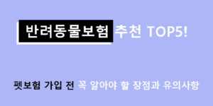 반려동물보험 추천 TOP5! 펫보험 가입 전 꼭 알아야 할 장점과 유의사항