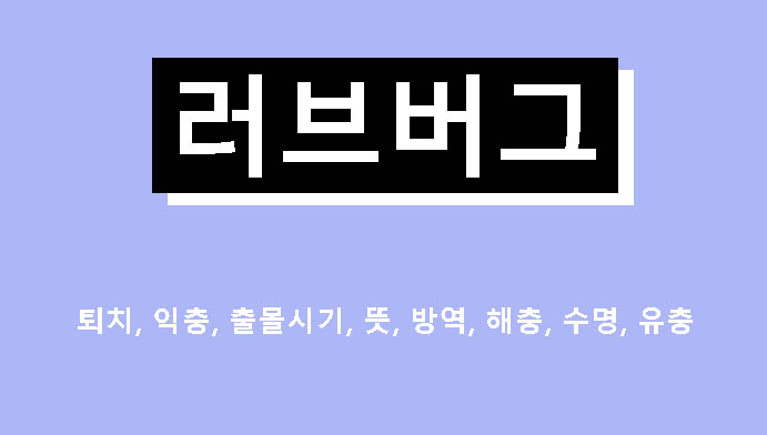 러브버그 퇴치, 익충, 출몰시기, 뜻, 방역, 해충, 수명, 유충