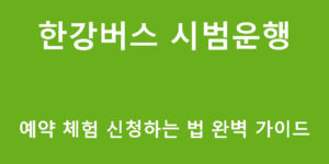 한강버스 시범운행 예약 체험 신청하는 법 완벽 가이드