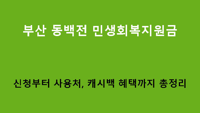 부산 동백전 민생회복지원금 신청부터 사용처, 캐시백 혜택까지 총정리
