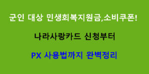 군인 대상 민생회복지원금, 소비쿠폰! 나라사랑카드 신청부터 PX 사용법까지 완벽정리