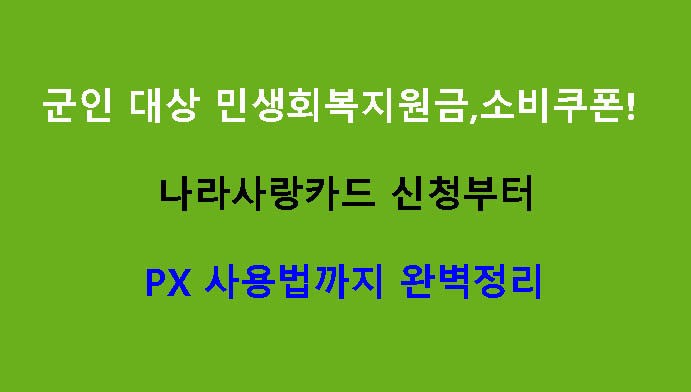 군인 대상 민생회복지원금, 소비쿠폰! 나라사랑카드 신청부터 PX 사용법까지 완벽정리