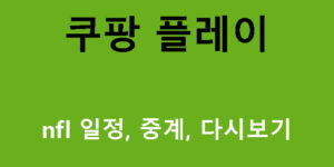 쿠팡 플레이 nfl 일정, 중계, 다시보기