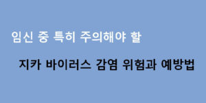 임신 중 특히 주의해야 할 지카 바이러스 감염 위험과 예방법