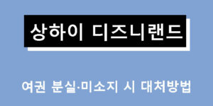 상하이 디즈니랜드 여권 분실·미소지 시 대처방법