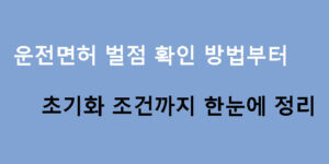 운전면허 벌점 확인 방법부터 초기화 조건까지 한눈에 정리