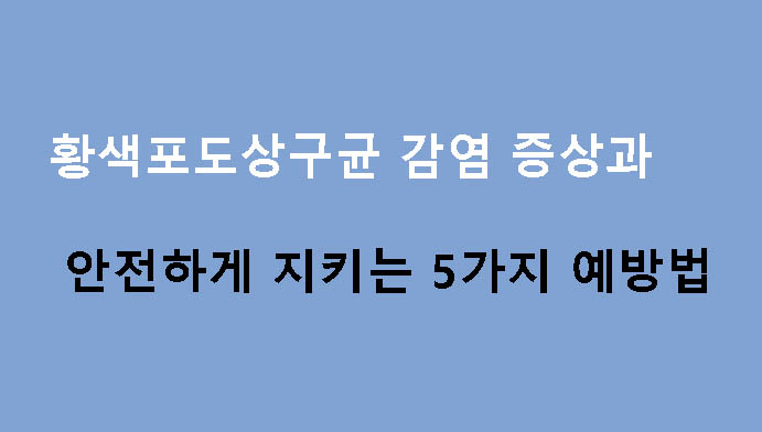 황색포도상구균 감염 증상과 안전하게 지키는 5가지 예방법
