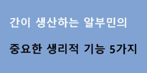 간이 생산하는 알부민의 중요한 생리적 기능 5가지
