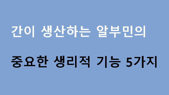 간이 생산하는 알부민의 중요한 생리적 기능 5가지