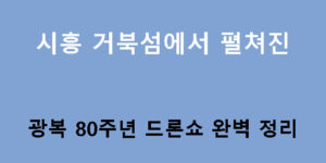 시흥 거북섬에서 펼쳐진 광복 80주년 드론쇼 완벽 정리