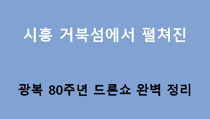 시흥 거북섬에서 펼쳐진 광복 80주년 드론쇼 완벽 정리