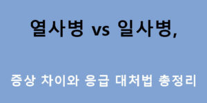 열사병 vs 일사병, 증상 차이와 응급 대처법 총정리