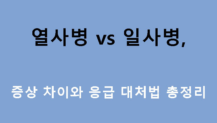 열사병 vs 일사병, 증상 차이와 응급 대처법 총정리