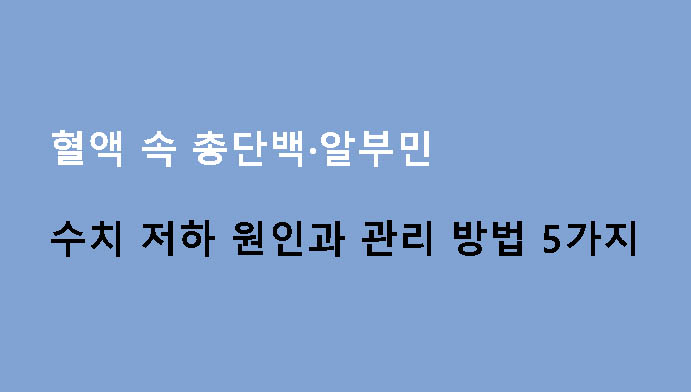 혈액 속 총단백·알부민 수치 저하 원인과 관리 방법 5가지