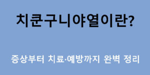 치쿤구니야열이란? 증상부터 치료·예방까지 완벽 정리