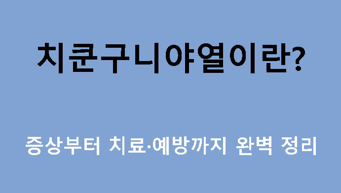 치쿤구니야열이란? 증상부터 치료·예방까지 완벽 정리