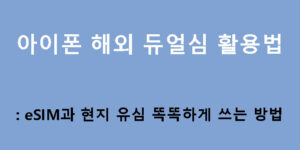 아이폰 해외 듀얼심 활용법: eSIM과 현지 유심 똑똑하게 쓰는 방법