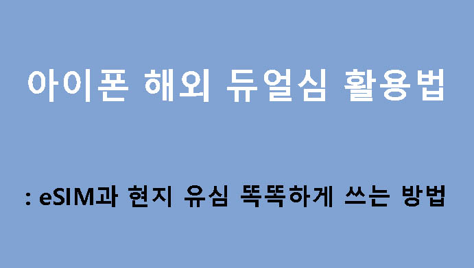 아이폰 해외 듀얼심 활용법: eSIM과 현지 유심 똑똑하게 쓰는 방법