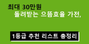 최대 30만원 돌려받는 으뜸효율 가전, 1등급 추천 리스트 총정리