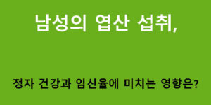 남성의 엽산 섭취, 정자 건강과 임신율에 미치는 영향은?