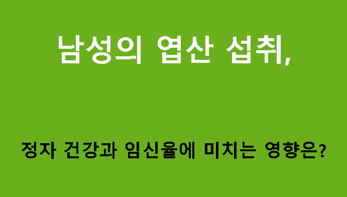 남성의 엽산 섭취, 정자 건강과 임신율에 미치는 영향은?