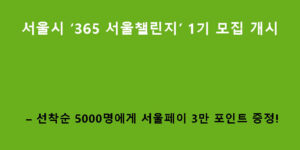 서울시 ‘365 서울챌린지’ 1기 모집 개시: 선착순 5000명에게 서울페이 3만 포인트 증정!