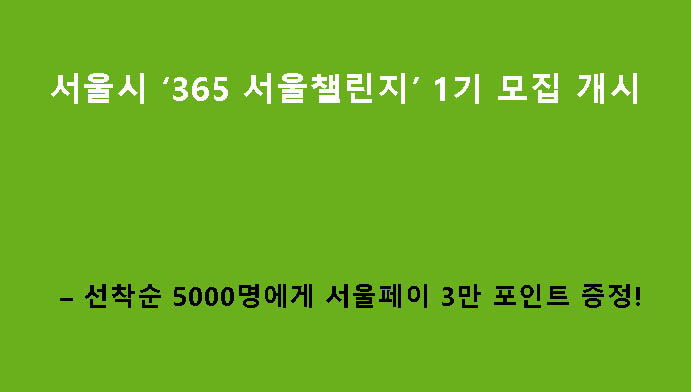 서울시 ‘365 서울챌린지’ 1기 모집 개시: 선착순 5000명에게 서울페이 3만 포인트 증정!