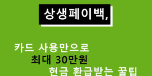 상생페이백, 카드 사용만으로 최대 30만원 현금 환급받는 꿀팁