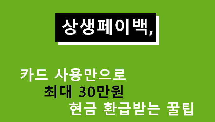 상생페이백, 카드 사용만으로 최대 30만원 현금 환급받는 꿀팁