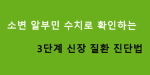 소변 알부민 수치로 확인하는 3단계 신장 질환 진단법