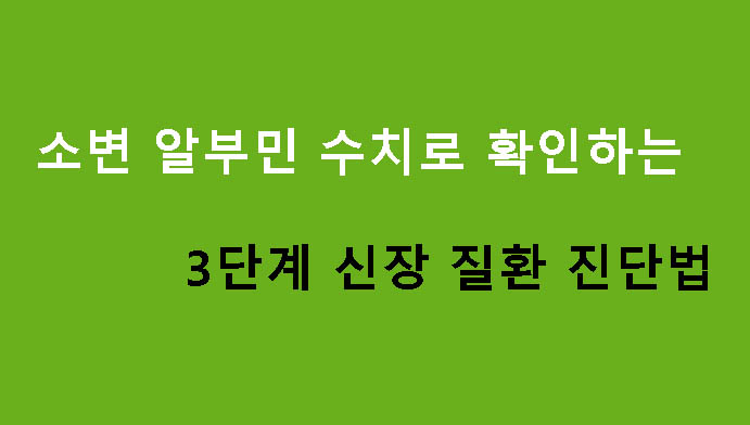 소변 알부민 수치로 확인하는 3단계 신장 질환 진단법