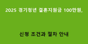 2025 경기청년 결혼지원금 100만원, 신청 조건과 절차 안내